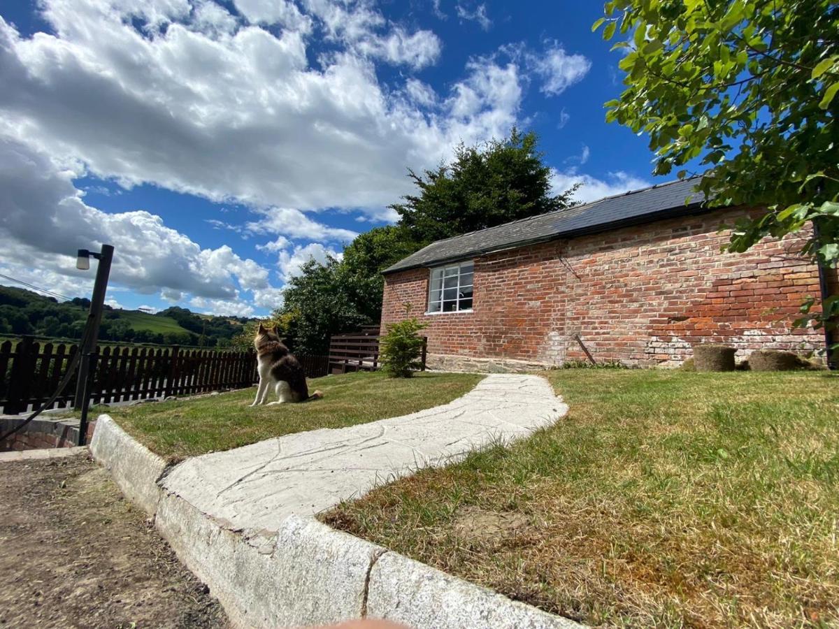 Robyns Nest, Self Catering Cottage Welshpool Ngoại thất bức ảnh